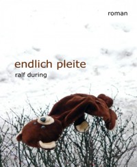 endlich pleite - Ralf During - E-Book