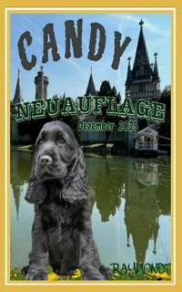 C A N D Y - RAYMONDi - E-Book