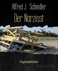 Der Narzisst - Alfred J. Schindler - E-Book