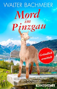 Mord im Pinzgau - Walter Bachmeier - E-Book