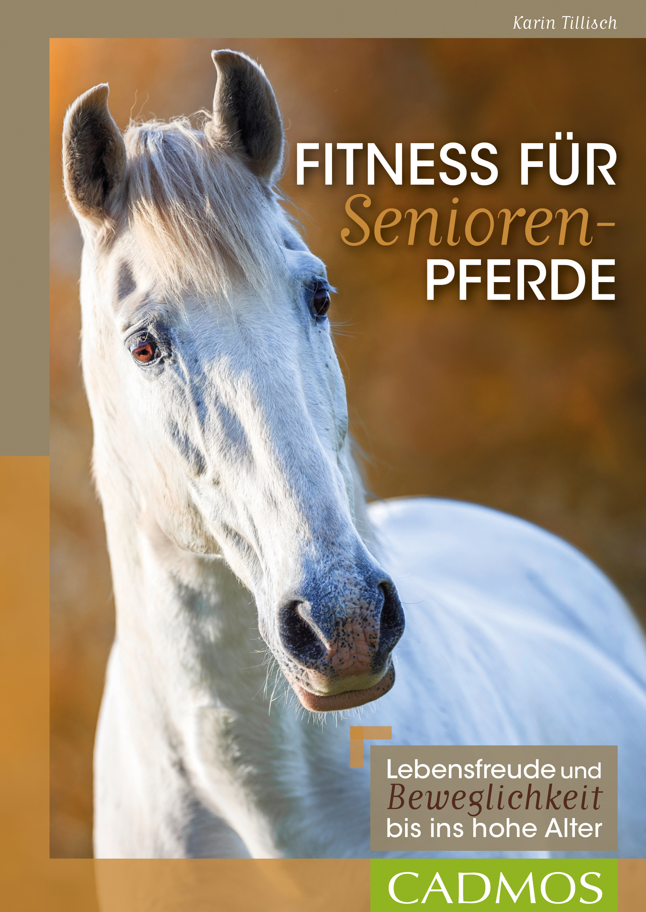 Fitness für Seniorenpferde - Karin Tillisch - E-Book