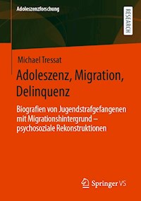 Adoleszenz, Migration, Delinquenz - Michael Tressat - E-Book