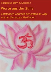 Worte aus der Stille - Vasudeva Devi - E-Book