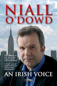 An Irish Voice - Niall O'Dowd - E-Book