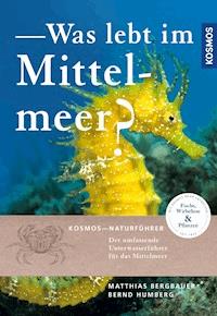 Was lebt im Mittelmeer - Matthias Bergbauer - E-Book