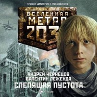 Метро 2033: Слепящая пустота - Андрей Чернецов - Hörbuch