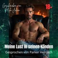 Meine Lust in seinen Händen - Mila Joleen - Hörbuch