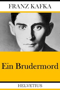 Ein Brudermord - Franz  kafka - E-Book