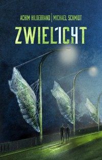 Zwielicht 14 - Achim Hildebrand - E-Book