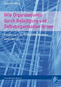 Wie Organisationen durch Beteiligung und Selbstorganisation lernen - Joachim König - E-Book