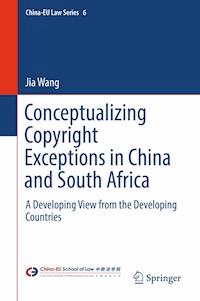 Conceptualizing Copyright Exceptions in China and South Africa - Jia Wang - E-Book