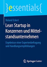 Lean Startup in Konzernen und Mittelstandsunternehmen - Roland Eckert - E-Book