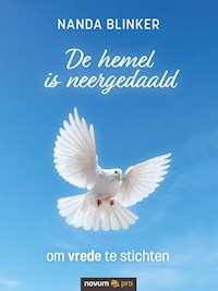 De hemel is neergedaald - Nanda Blinker - E-Book