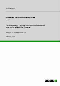 The Dangers of Political Instrumentalization of International Judicial Organs - Stefan Kirchner - E-Book