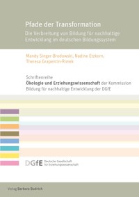Pfade der Transformation - Nadine Etzkorn - E-Book