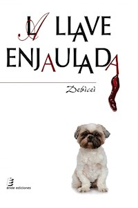 La llave enjaulada - Lola Arjona - E-Book
