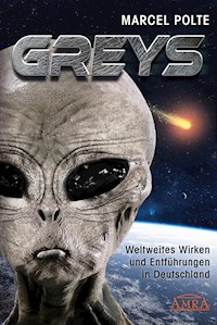 GREYS - Marcel Polte - E-Book