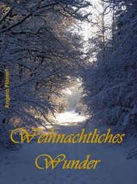 Weihnachtliches Wunder - Angela Planert - E-Book