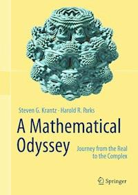 A Mathematical Odyssey - Steven G Krantz - E-Book