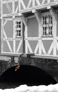 Spektakuläre Entdeckungen der Dinosaurierforscher - Hans Serner - E-Book