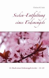 Seelen~Entfaltung eines Erdenengels - Clarissa M. Seite - E-Book