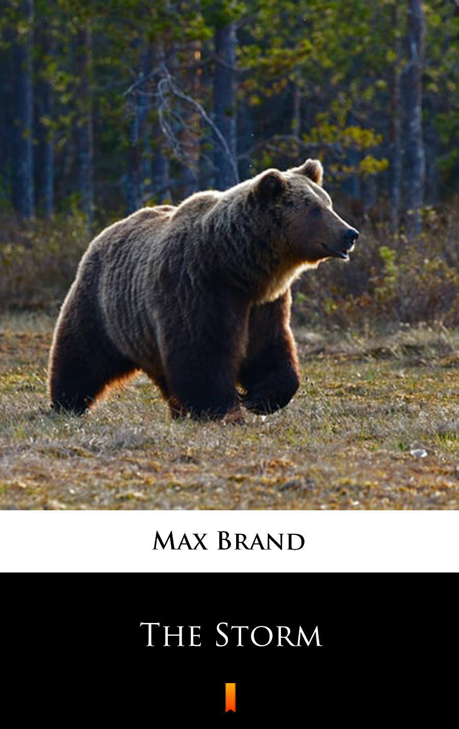 The Storm - Max Brand - E-Book
