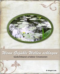 Wenn Gefühle Wellen schlagen - Birgid Link - E-Book