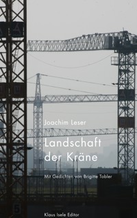 Landschaft der Kräne - Brigitte Tobler - E-Book
