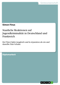 Staatliche Reaktionen auf Jugendkriminalität in Deutschland und Frankreich - Simon Finus - E-Book