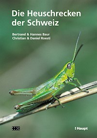 Die Heuschrecken der Schweiz - Bertrand Baur - E-Book