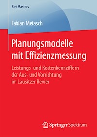 Planungsmodelle mit Effizienzmessung - Fabian Metasch - E-Book