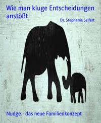 Wie man kluge Entscheidungen anstößt - Dr. Stephanie Seifert - E-Book
