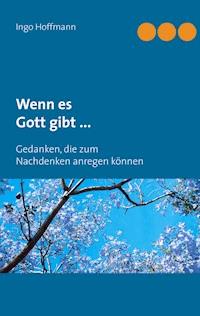 Wenn es Gott gibt ... - Ingo Hoffmann - E-Book