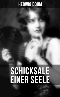 Schicksale einer Seele von Hedwig Dohm - Hedwig Dohm - E-Book