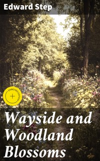 Wayside and Woodland Blossoms - Edward Step - E-Book