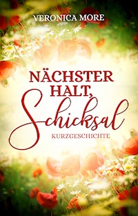 Nächster Halt, Schicksal - Veronica More - E-Book
