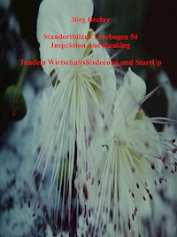 Standortbilanz Lesebogen 54 Inspektion und Ranking - Jörg Becker - E-Book