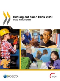 Bildung auf einen Blick 2020 -  - kostenlos E-Book