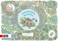 Nacimientos bestiales - Aina Bestard - E-Book