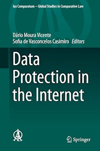 Data Protection in the Internet -  - E-Book