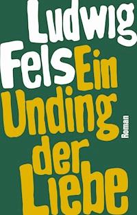 Ein Unding der Liebe - Ludwig Fels - E-Book
