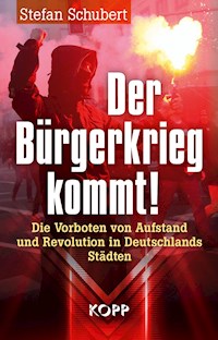Der Bürgerkrieg kommt! - Stefan Schubert - E-Book
