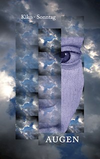 Augen - Hannes Sonntag - E-Book