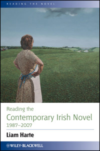 Reading the Contemporary Irish Novel 1987 - 2007 - Liam Harte - E-Book