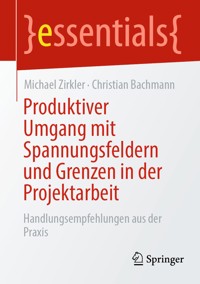 Produktiver Umgang mit Spannungsfeldern und Grenzen in der Projektarbeit - Michael Zirkler - E-Book