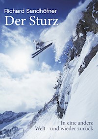 Der Sturz - Richard Sandhöfner - E-Book