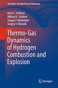 Thermo-Gas Dynamics of Hydrogen Combustion and Explosion - Boris E. Gelfand - E-Book