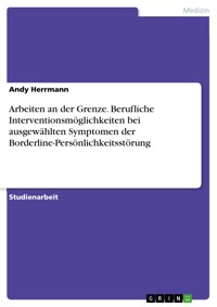 Arbeiten an der Grenze. Berufliche Interventionsmöglichkeiten bei ausgewählten Symptomen der Borderline-Persönlichkeitsstörung - Andy Herrmann - E-Book