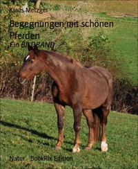 Begegnungen mit schönen Pferden - Klaus Metzger - kostenlos E-Book