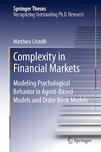 Complexity in Financial Markets - Matthieu Cristelli - E-Book